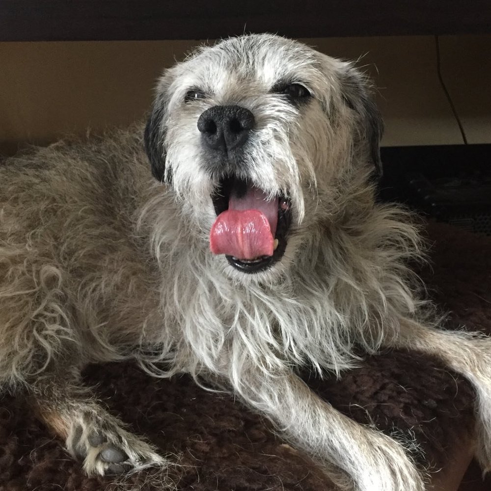 Meet your Posher, Laura